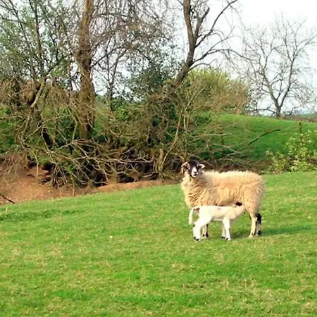 Ferienhaus Ghyll Bank