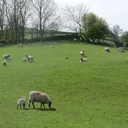 Holiday home Ghyll Bank